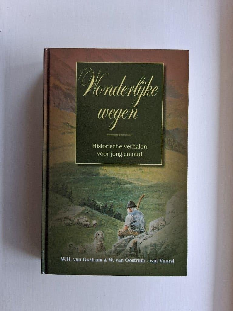 Wonderlijke wegen - W.H. van Oostrum, Boeken, Christendom | Protestants, Ophalen of Verzenden, Zo goed als nieuw, W.H. van Oostrum en W. van Oostrum-van Voorst