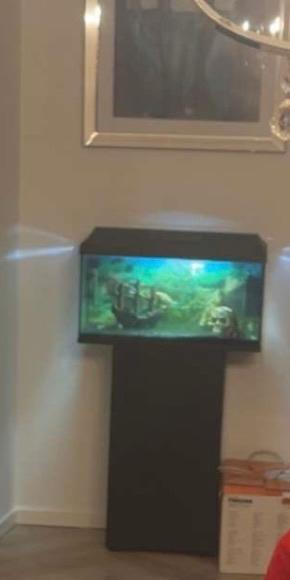 Aquarium, Ophalen of Verzenden, Gebruikt, Leeg aquarium