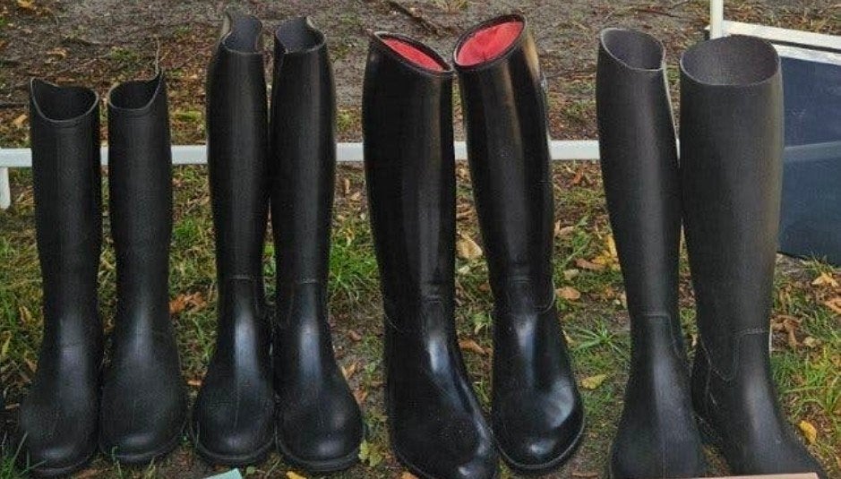 paardrijlaarzen 35/42/36/37/39/32, Dieren en Toebehoren, Ophalen of Verzenden, Schoeisel