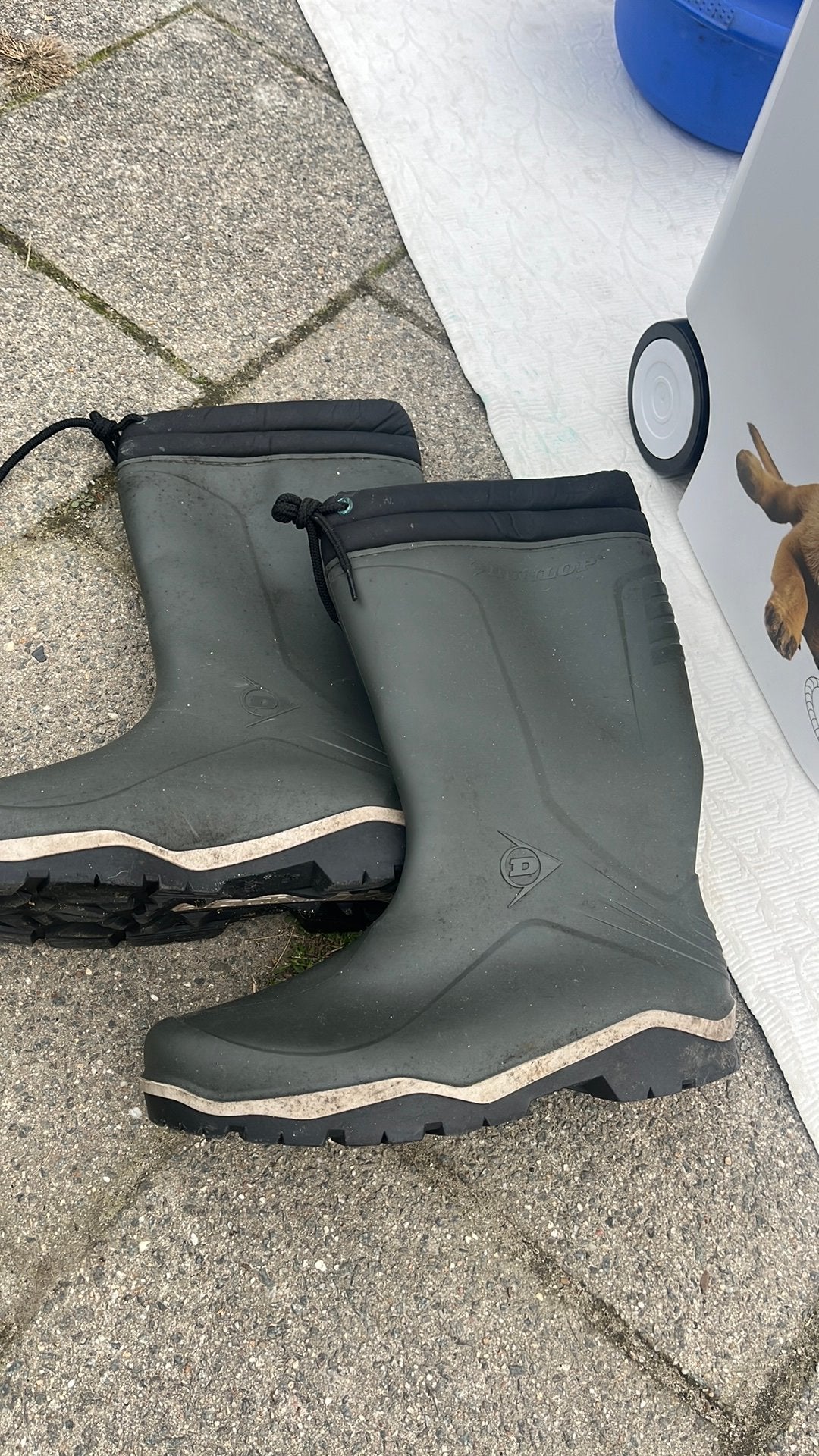 Regenlaarzen, Kleding | Heren, Overige kleuren, Ophalen of Verzenden, Regenlaarzen, Gedragen