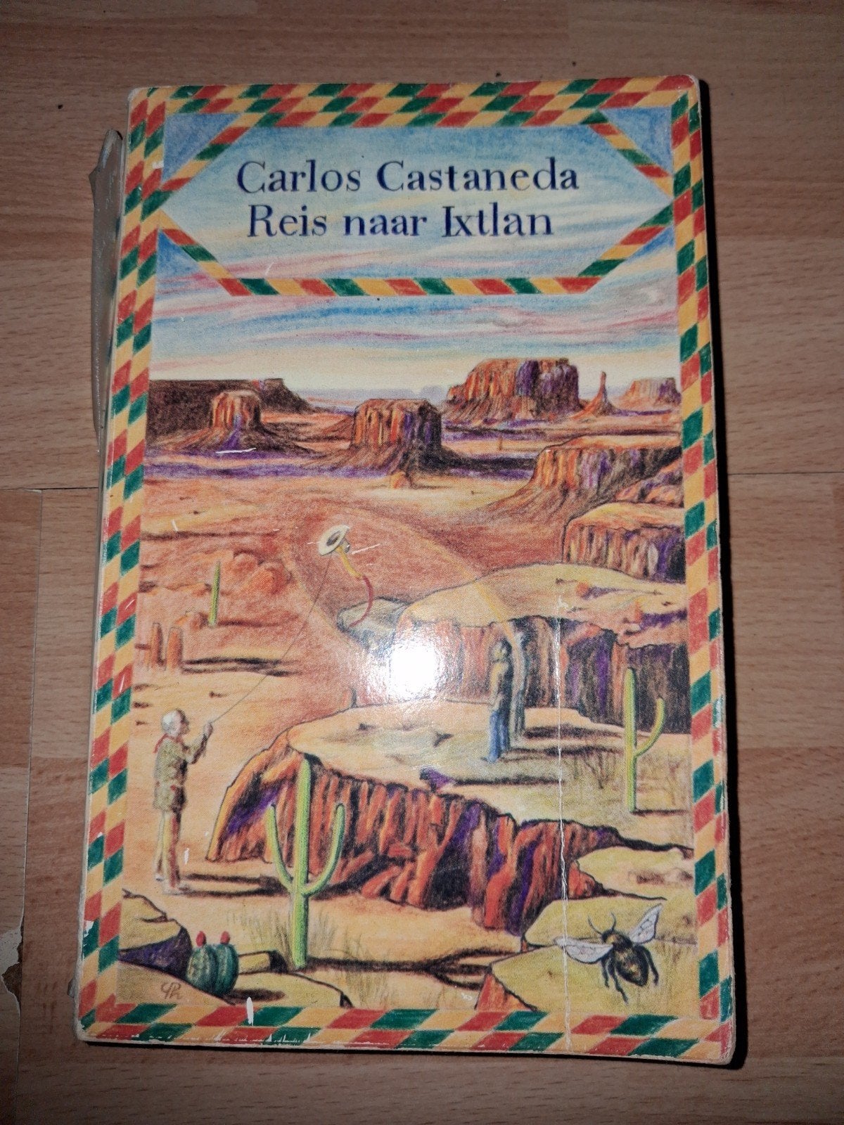 Carlos Castaneda - Reis naar Ixtlan (De Bezige Bij), Boeken, Ophalen of Verzenden, Gelezen, Carlos Castaneda, Nederland