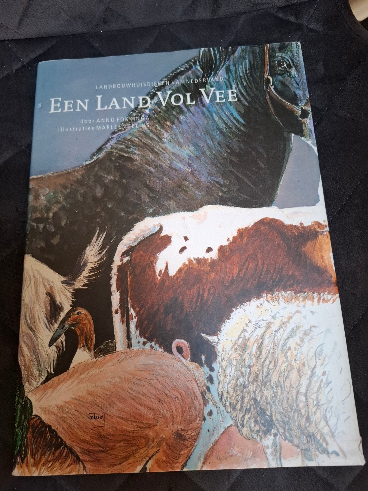Een Land Vol Vee - Anno Fokkinga (Goede Staat), Boeken, Ophalen of Verzenden, Gelezen, Natuur algemeen