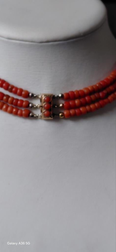 prachtig bloedkoraal collier - drie strengen, Ophalen of Verzenden, Overige materialen, Ketting, Met edelsteen