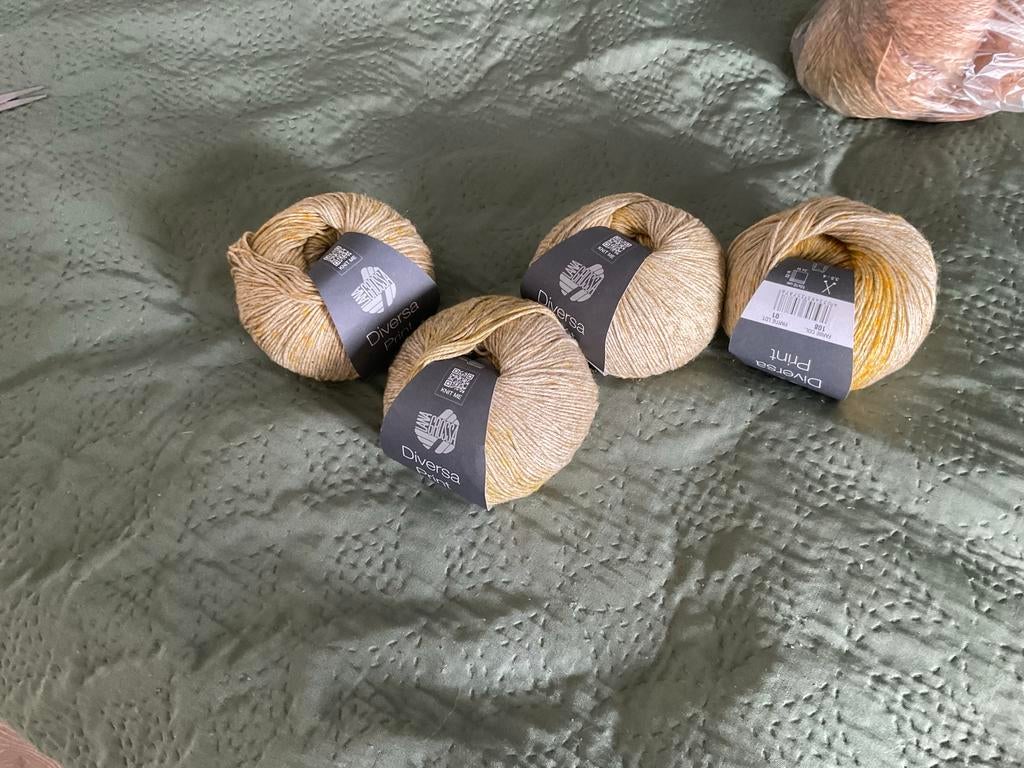 4 bollen Lana Grossa Diversa Print garen, Ophalen of Verzenden, Nieuw, Breien of Haken, Wol of Garen