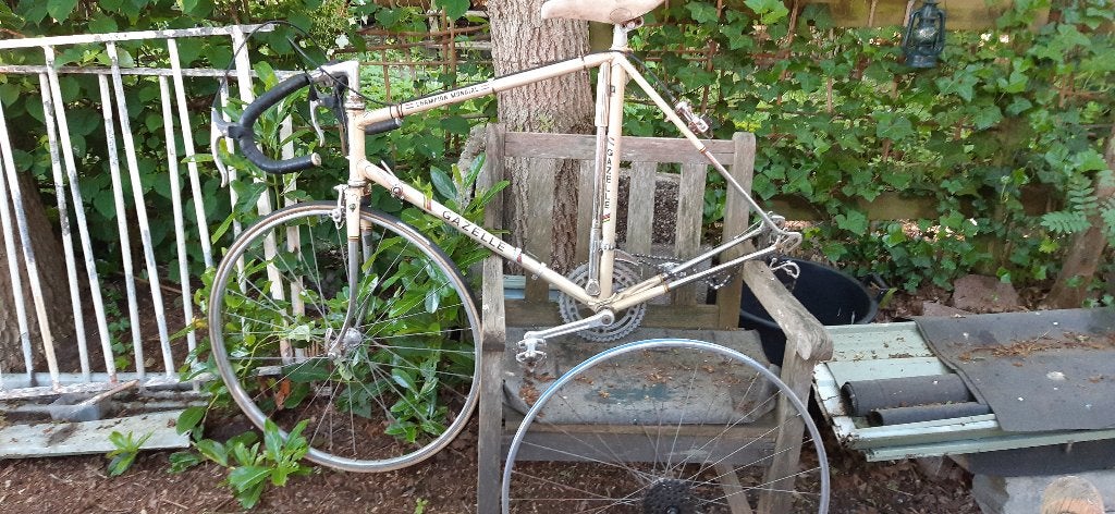 Te koop: Iconische Gazelle "Champion Mondial" racefiets, Fietsen en Brommers, Fietsen | Racefietsen, 28 inch, Gebruikt, 57 tot 61 cm