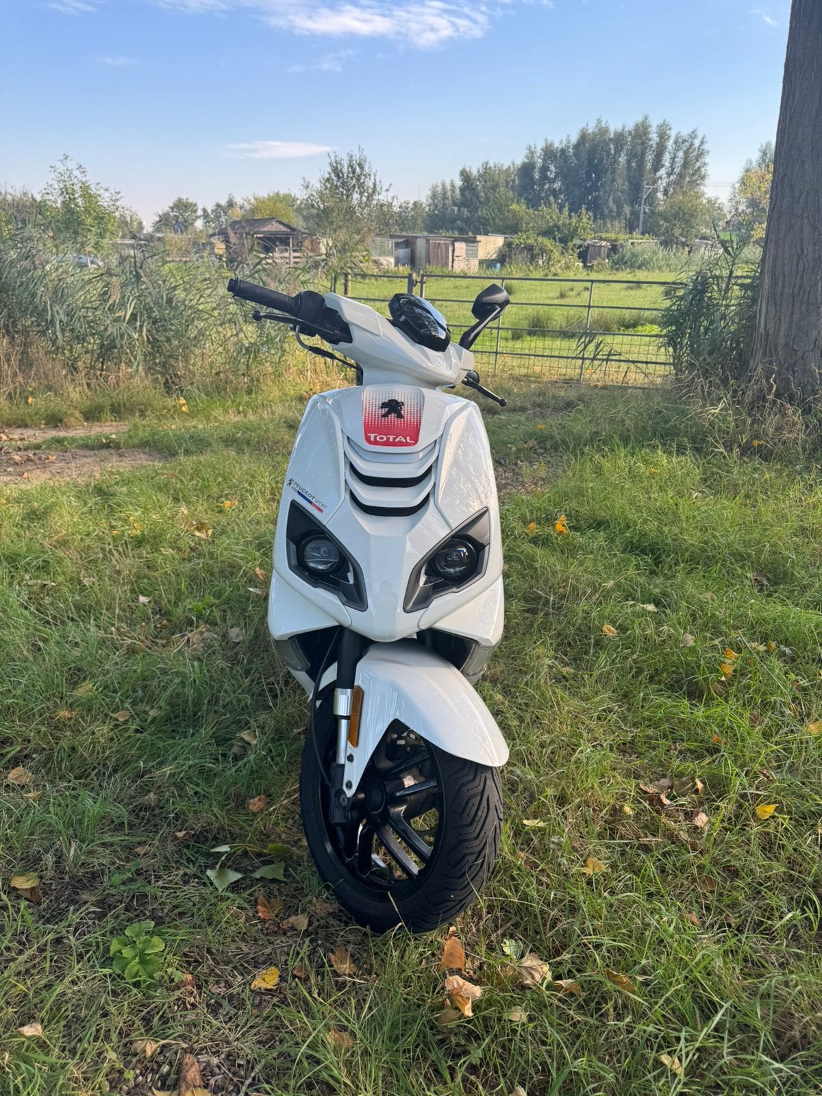 Peugeot Speedfight 4 2023, Ophalen, Gebruikt, Maximaal 45 km/u, Speedfight