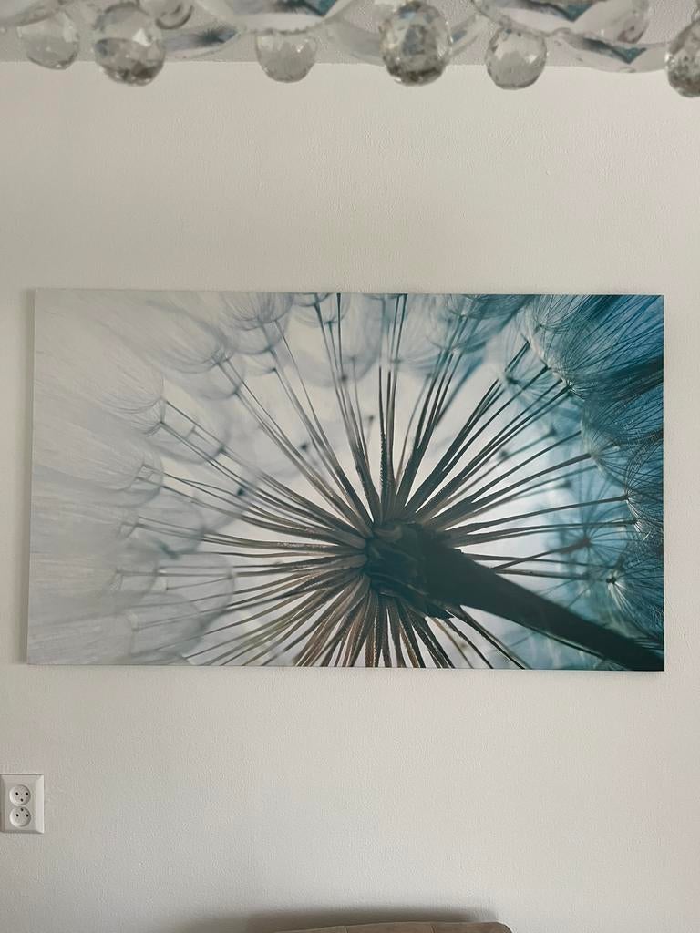 Moderne wanddecoratie – paardenbloem close-up – 70 x 117 cm, Ophalen of Verzenden, Gebruikt, 100 tot 125 cm, Schilderij