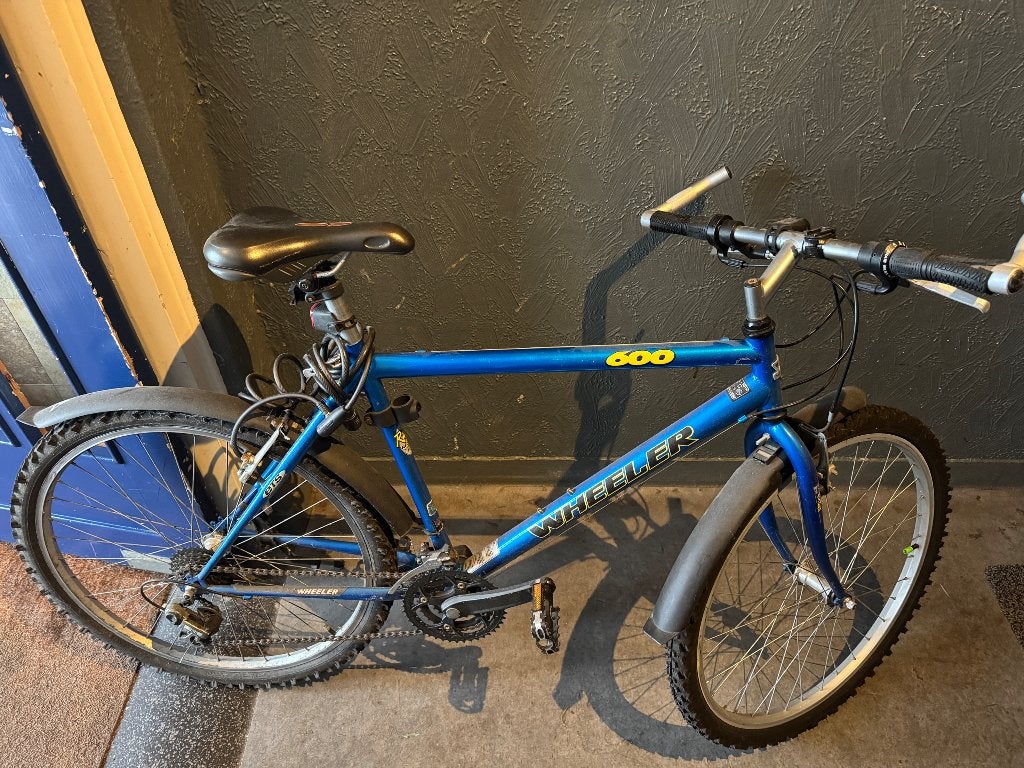 Bicycle, Fietsen en Brommers, Fietsen | Dames | Damesfietsen, Versnellingen, 56 cm of meer, Zo goed als nieuw, Schijfrem
