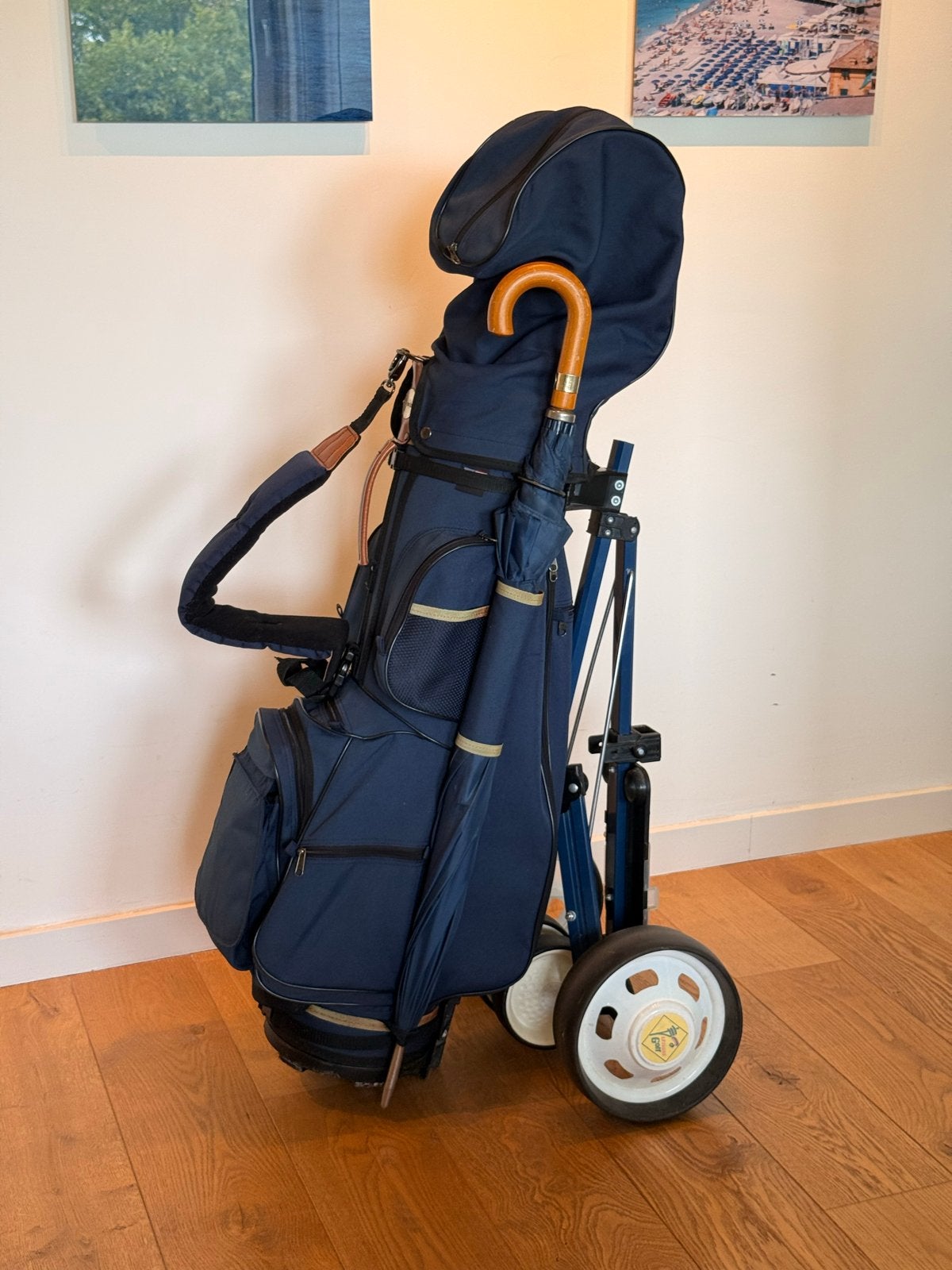 Complete graphite golfset met tas, trolley en accessoires, Sport en Fitness, Ophalen, Gebruikt, Set, Overige merken