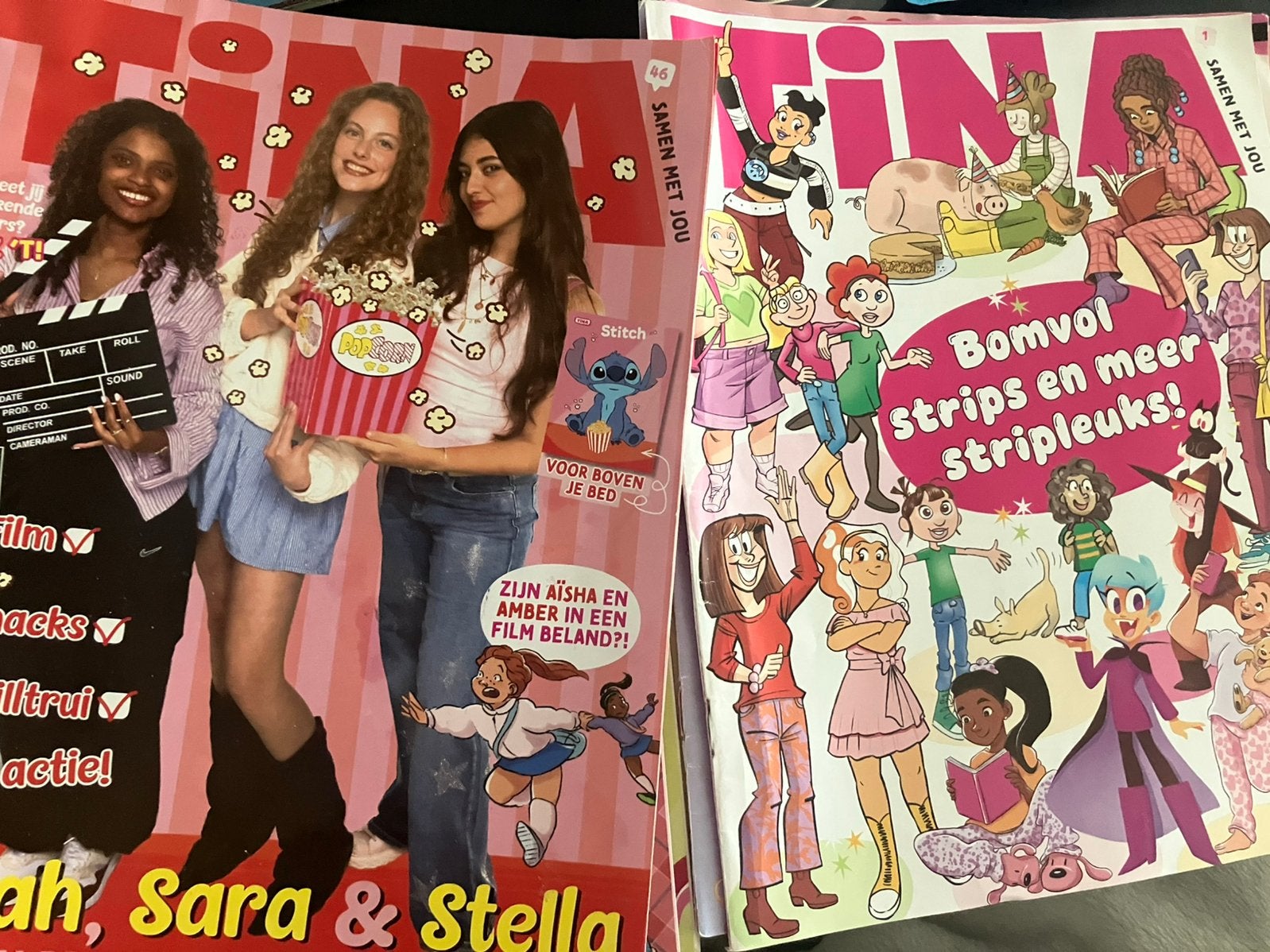 15x TINA - eind 2025 / begin 2026, Boeken, Ophalen of Verzenden, Gelezen