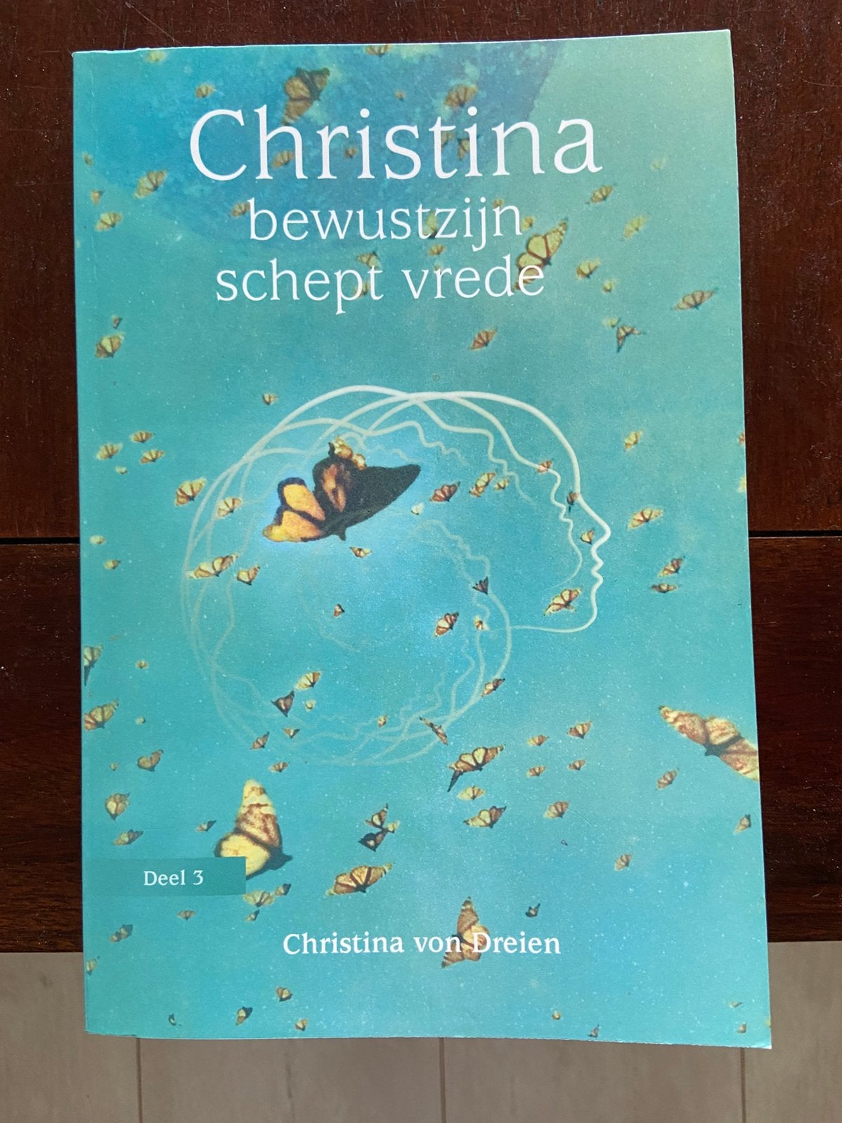 Christina bewustzijn schept vrede, Boeken, Ophalen of Verzenden, Zo goed als nieuw, Spiritualiteit algemeen, Overige typen