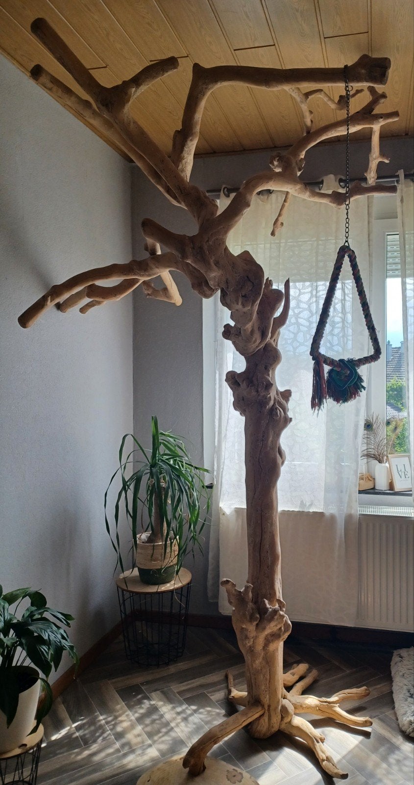 Perrot three xxl, Ophalen