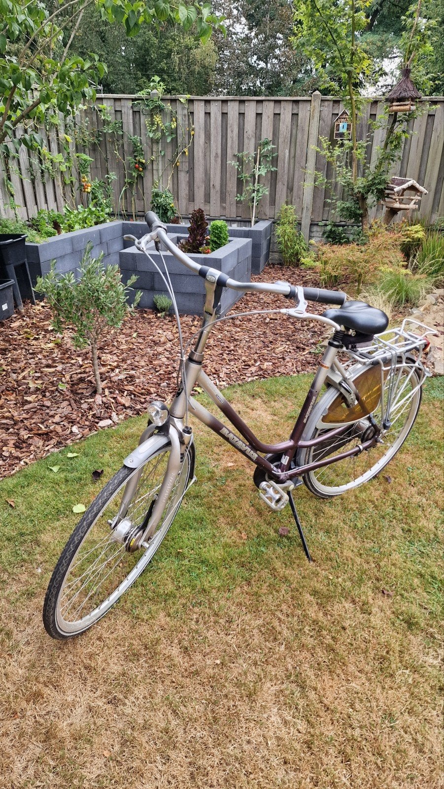 Batavus Staccato damesfiets, frame maat 57, Ophalen, Gebruikt, Batavus, Versnellingen