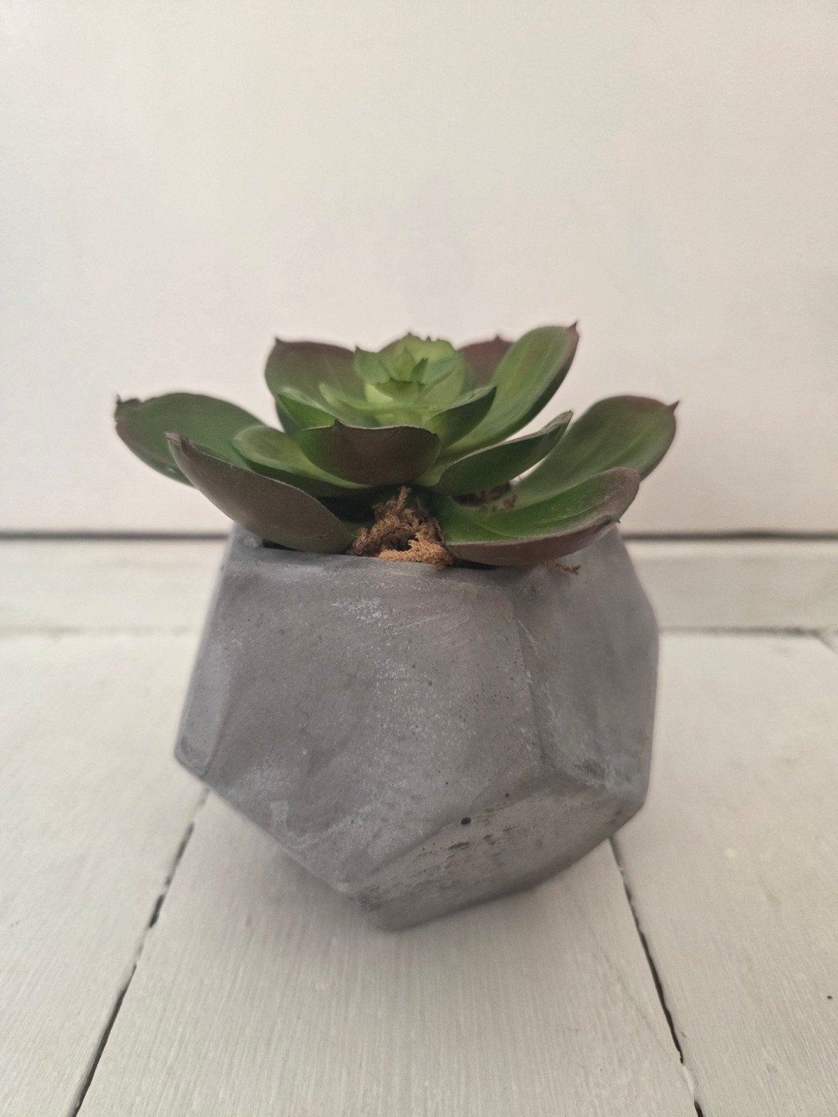 Nep vetplantje in geometrisch cement potje, Tuin en Terras, Gebruikt, Ophalen of Verzenden, Overige vormen, Minder dan 40 cm