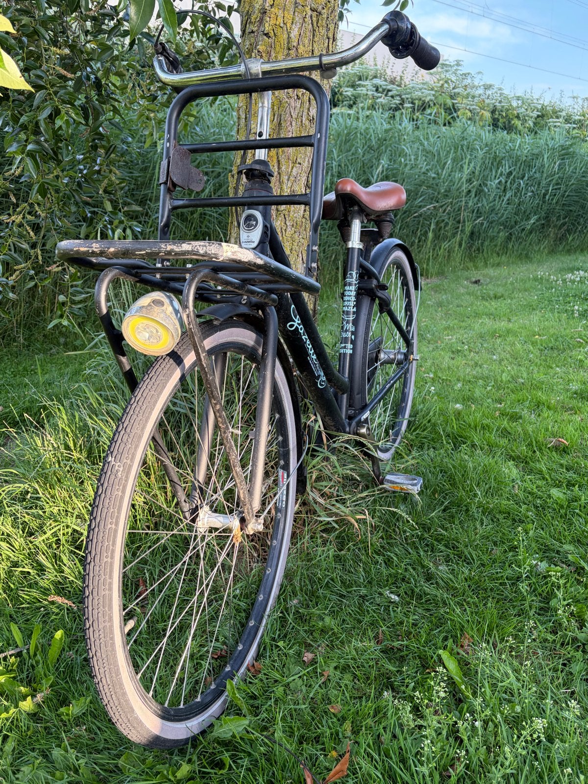 Gazelle Bloom damesfiets met 3 versnellingen, Versnellingen, Ophalen of Verzenden, Gazelle, 53 tot 56 cm