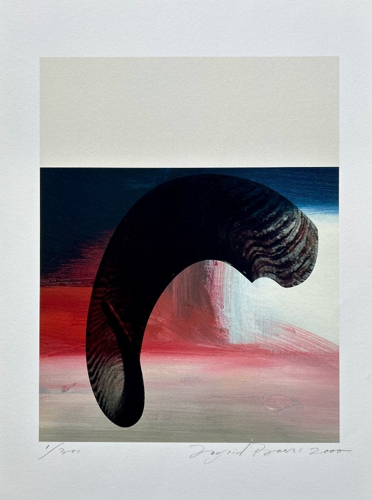 Zeefdruk Ingrid Baars, Antiek en Kunst, Kunst | Litho's en Zeefdrukken, Gesigneerd, Verzenden, Zeefdruk
