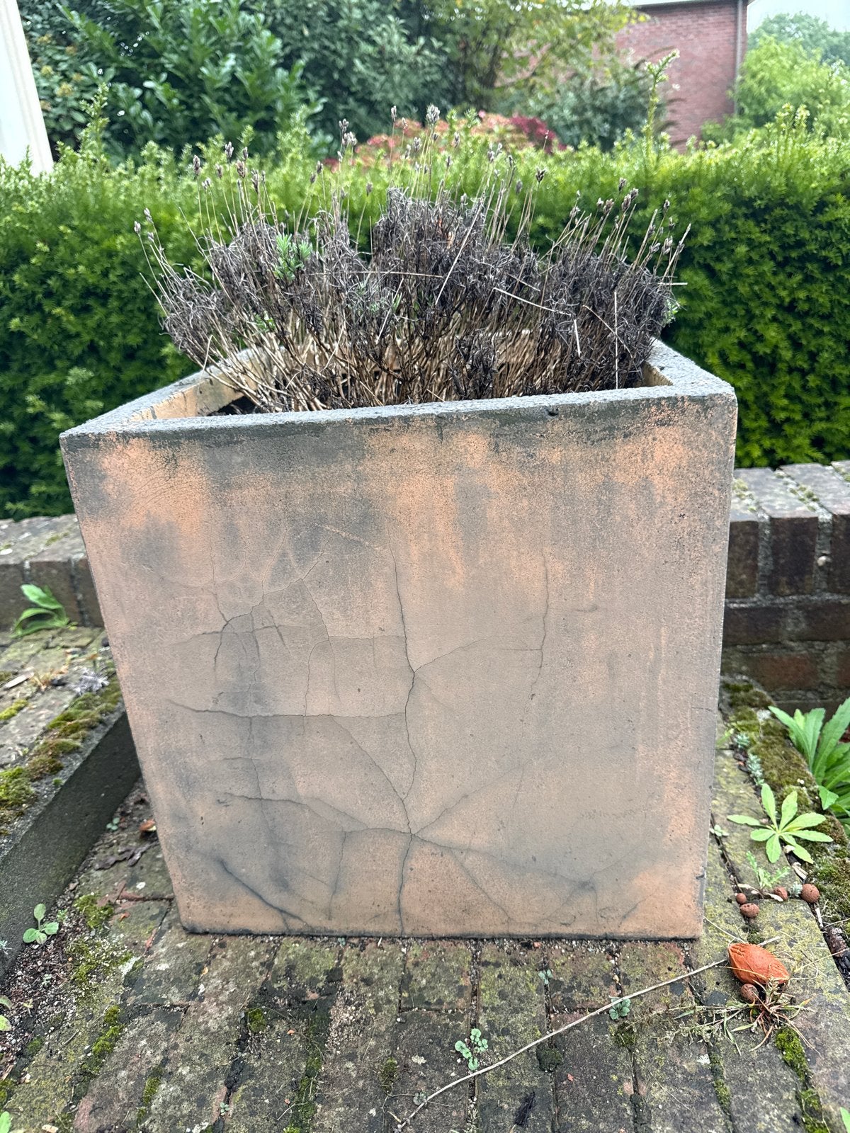 3x Grote vierkante bloempot lichtgewicht, Ophalen, Steen, Gebruikt, Balkon