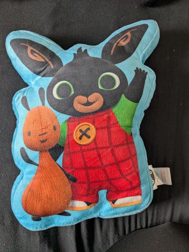 Bing en Flop kussen - Leuk voor de kinderkamer, Ophalen, Gebruikt, Blauw, Overige vormen