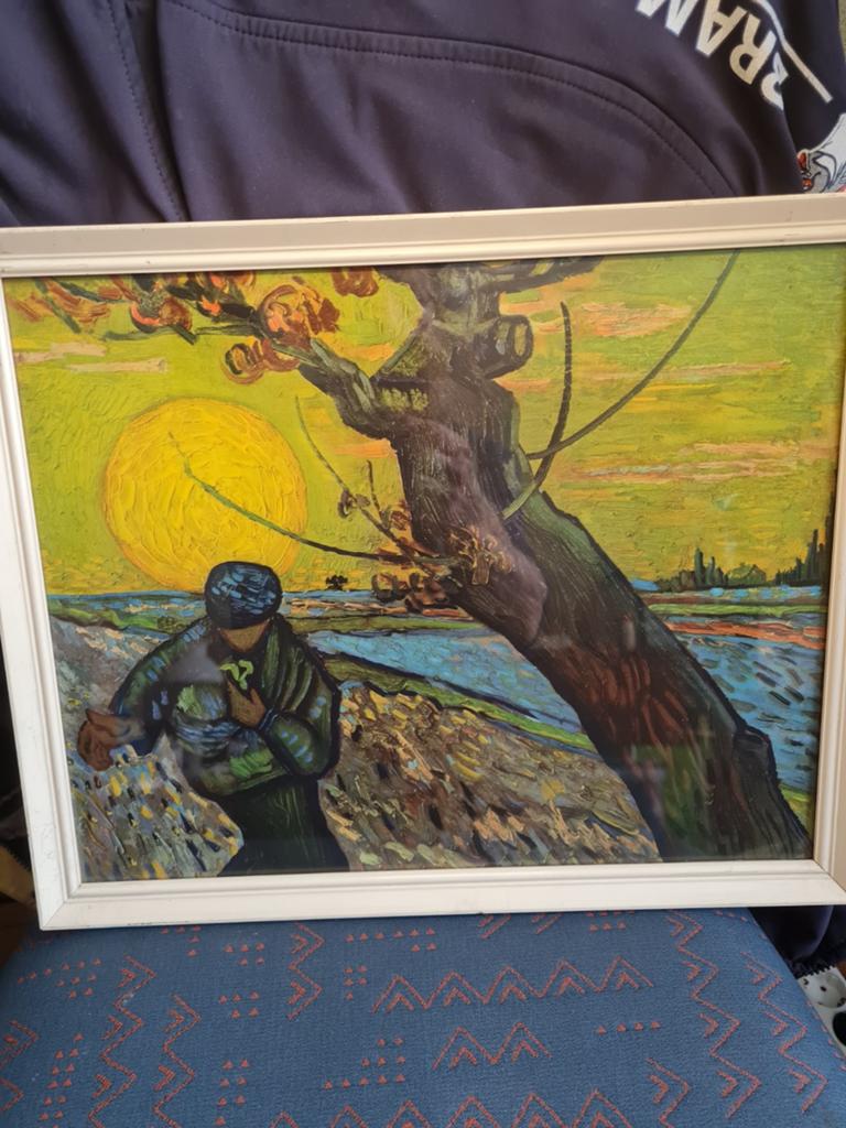 Van gogh  43cm bij 35, Ophalen of Verzenden