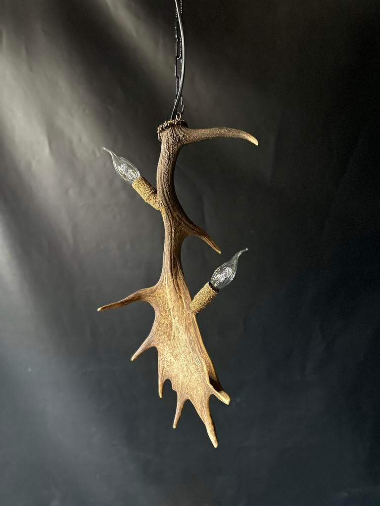 Geweienlamp.lamp.hanglamp.geweien.edelhert.damhert.brocante, Ophalen of Verzenden, Nieuw, Minder dan 50 cm