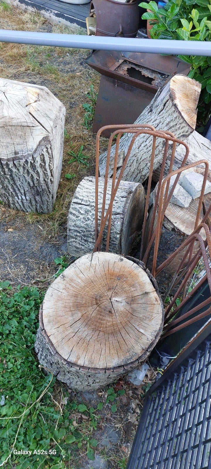 haardhout walnootboom, Minder dan 3 m³, Ophalen