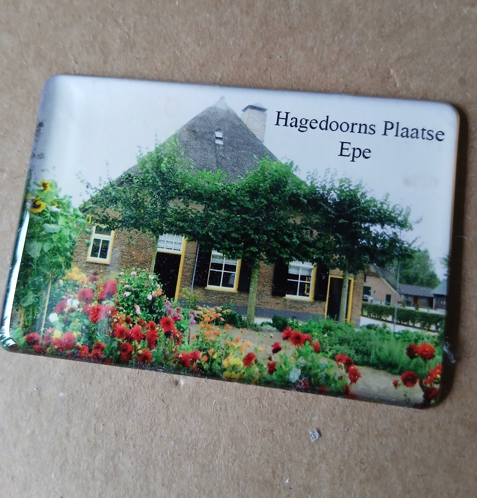 Magneet Hagedoorns Plaatse Epe, Ophalen of Verzenden