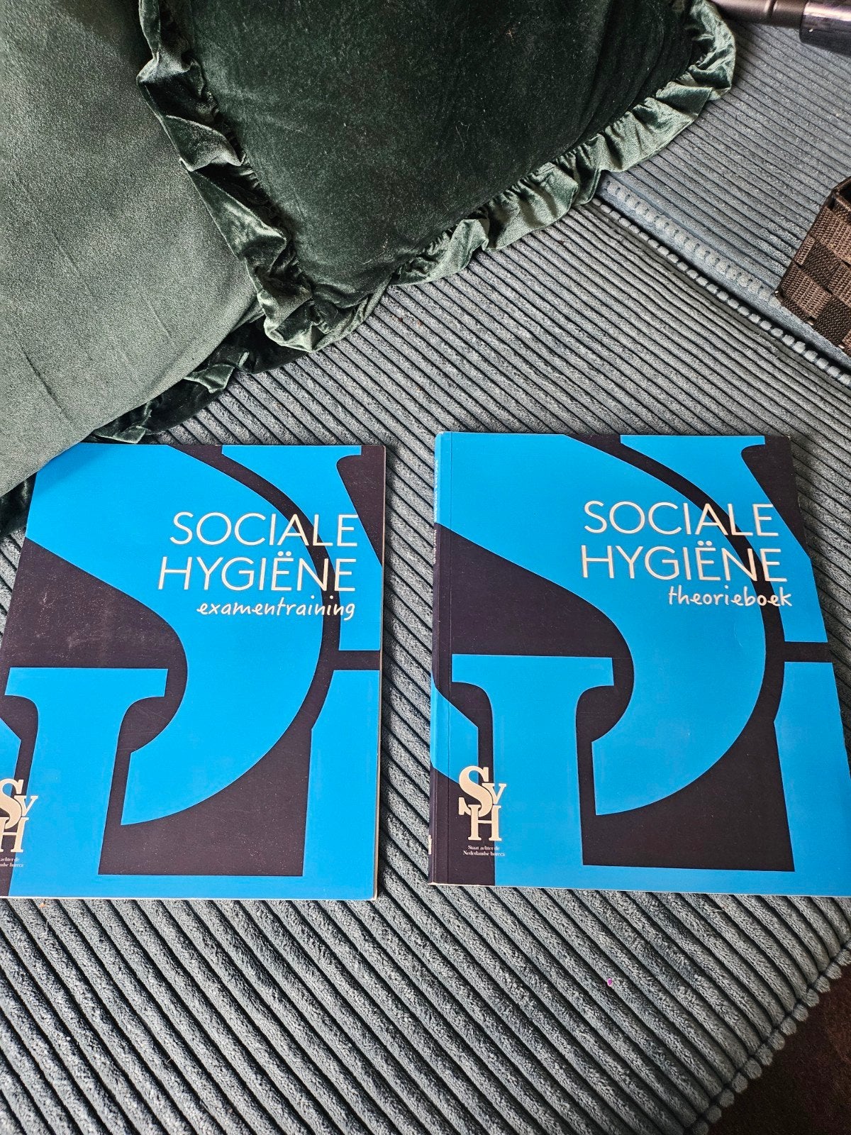 Sociale Hygiëne Theorieboek  Examentraining (eenmalig gebrui, Boeken, Studieboeken en Cursussen, Ophalen of Verzenden, Alpha, Zo goed als nieuw