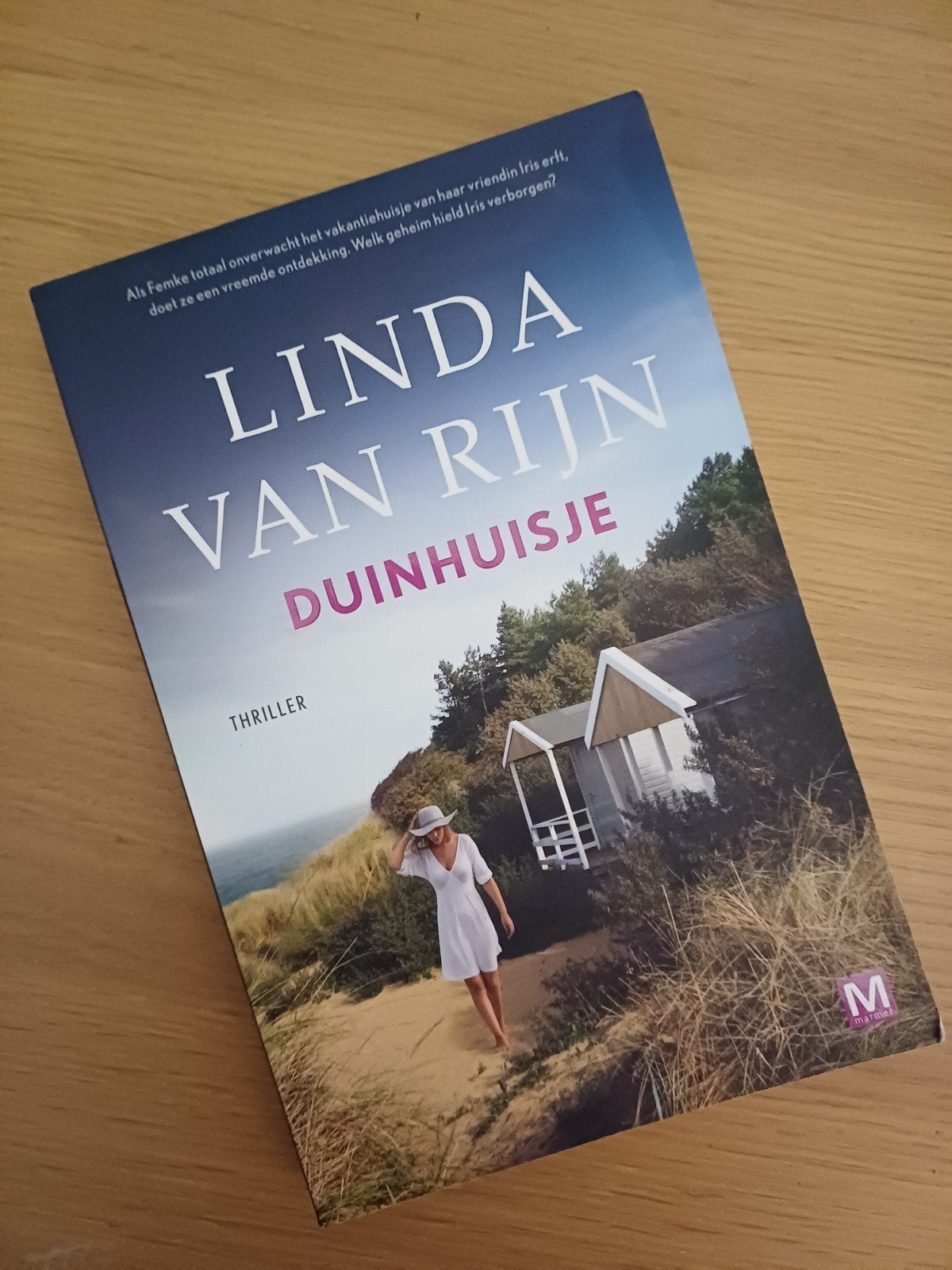 Linda van Rijn - Duinhuisje (Thriller) zgan, Ophalen of Verzenden, Zo goed als nieuw, Linda van Rijn