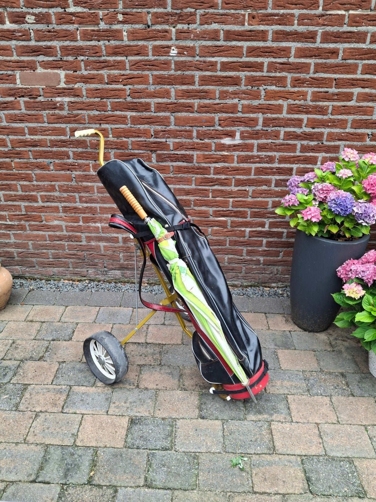 Ryder golfclubs met tas en kar, Ophalen, Gebruikt, Set, Overige merken