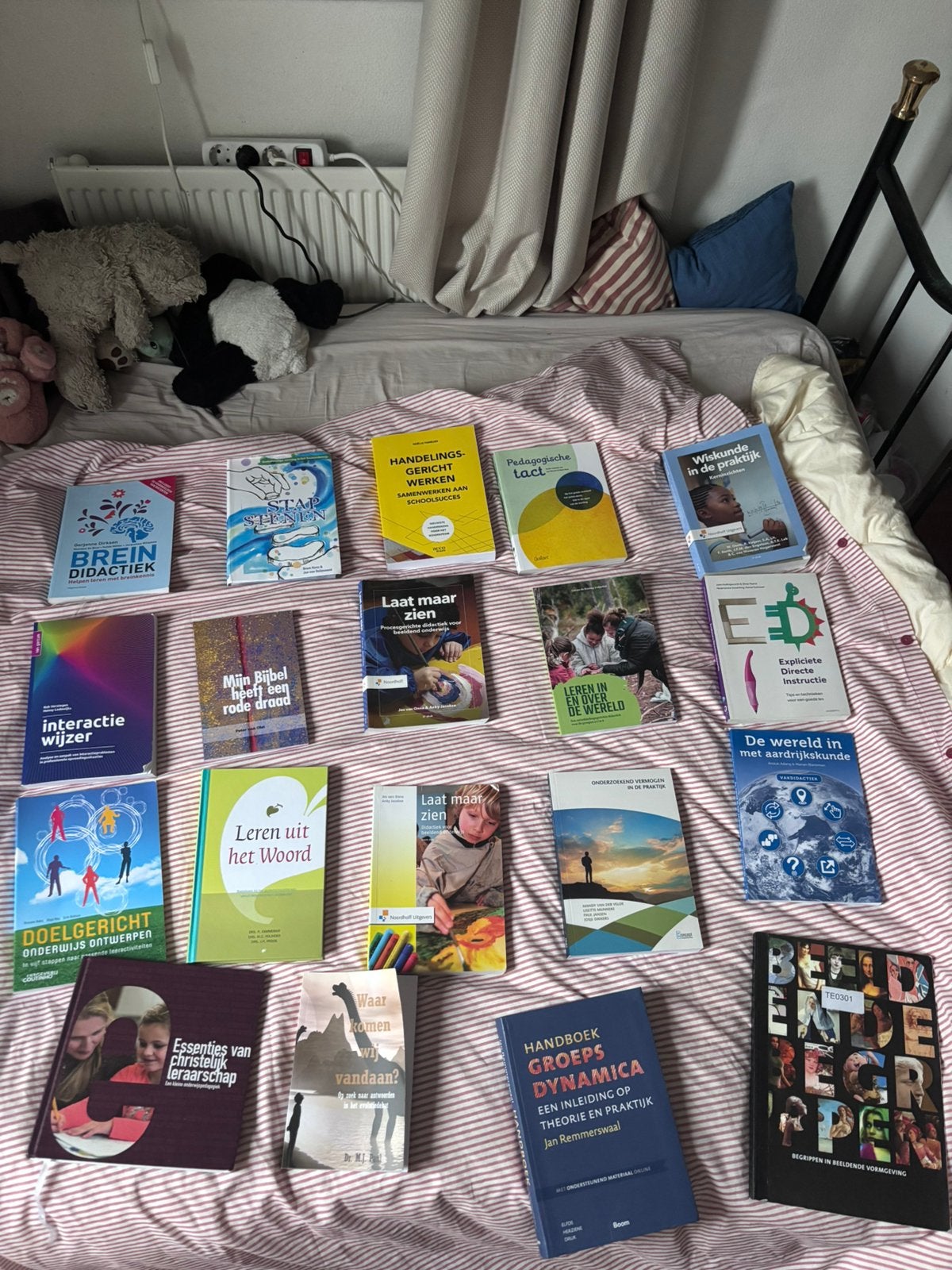 Pabo schoolboeken | (Driestar Educatief), Ophalen of Verzenden, Zo goed als nieuw, Overige niveaus