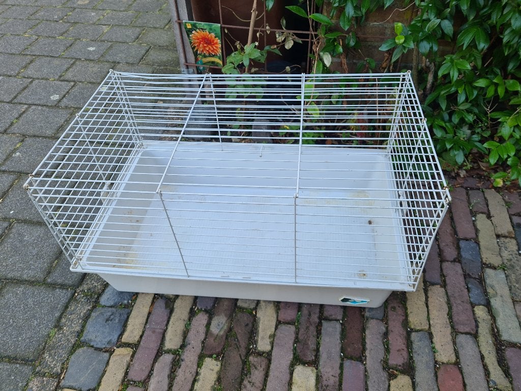 Konijnen, cavia binnenhok dierendag op school?, Dieren en Toebehoren, Ophalen, Gebruikt, 60 tot 90 cm, Cavia
