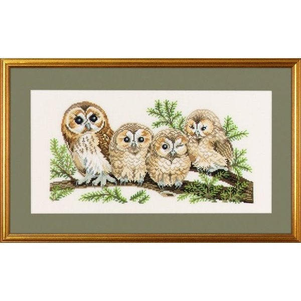 Borduurpakket Familie uil op tak 14146, Hobby en Vrije tijd, Borduren en Borduurmachines, Geen, Geen, Nieuw, Ophalen of Verzenden
