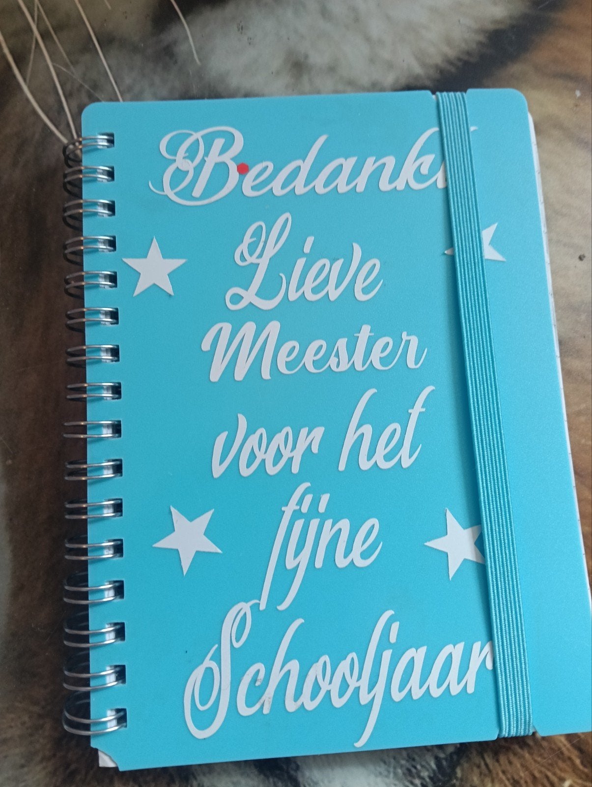 Juf of meester boekje, Ophalen of Verzenden