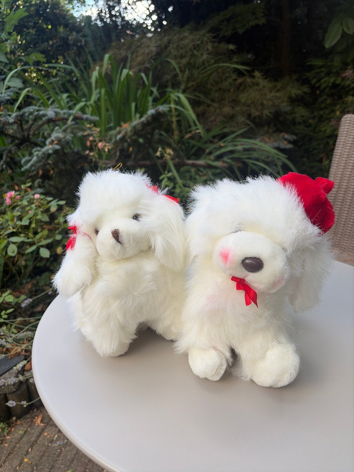 Set van 2 Witte Poedel Knuffels met Rode Strikjes, Overige merken, Overige karakters, Zo goed als nieuw, Middelgroot (20 tot 80 cm)