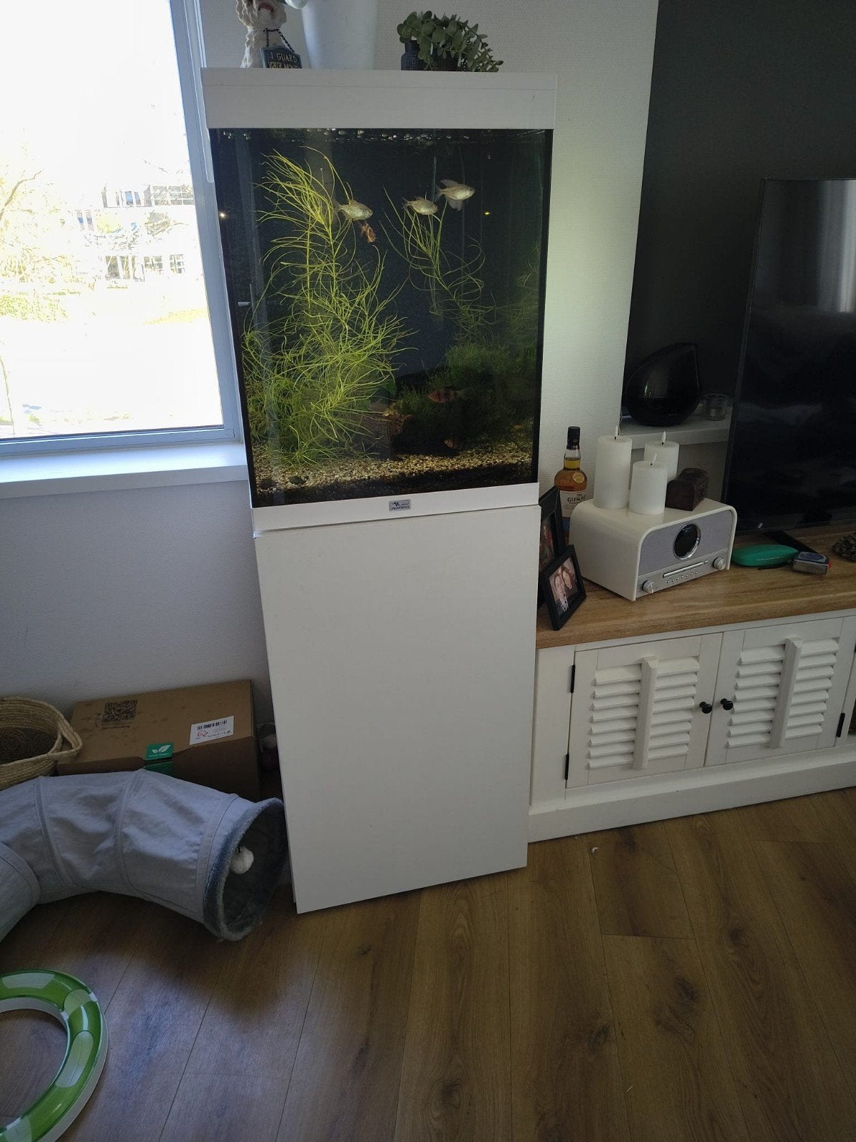 Aquarium, Ophalen