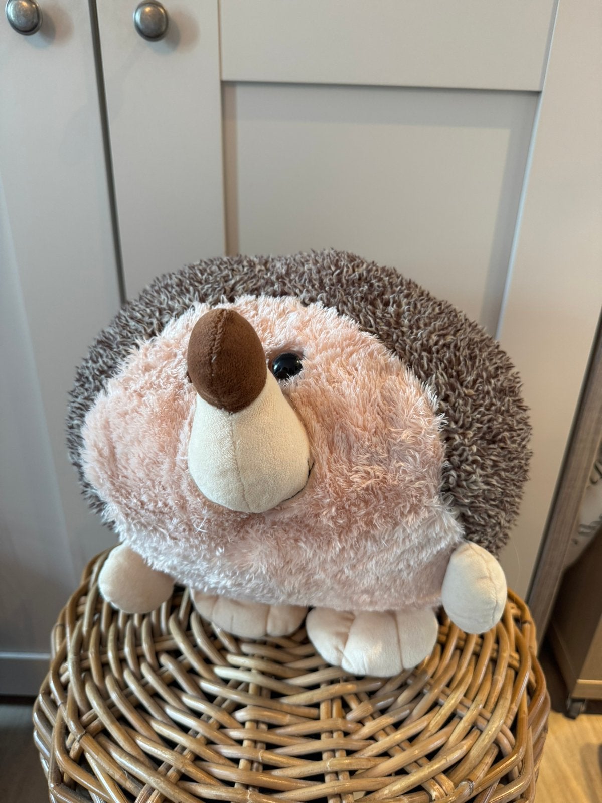 Handwarmer knuffel, Ophalen, Zo goed als nieuw, Overige typen