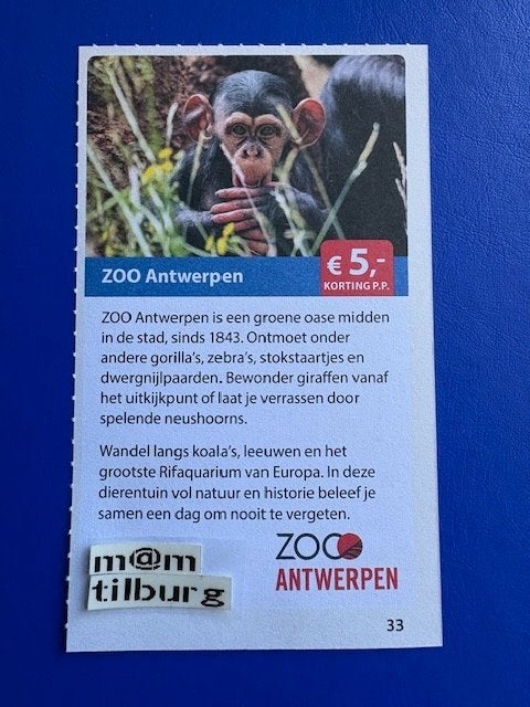 ZOO Antwerpen €5,- p.p.korting tot 1-7-2027, Drie personen of meer, Kortingskaart