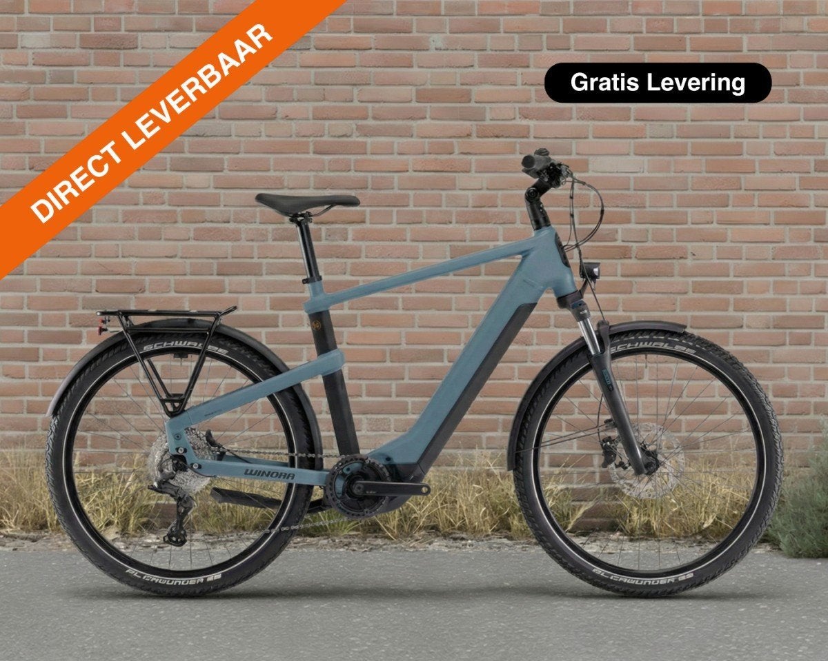 Winora Yakun X10, 750 Wh Heren Adviesprijs: € 3999, Fietsen en Brommers, Elektrische fietsen, -, -, Nieuw, -