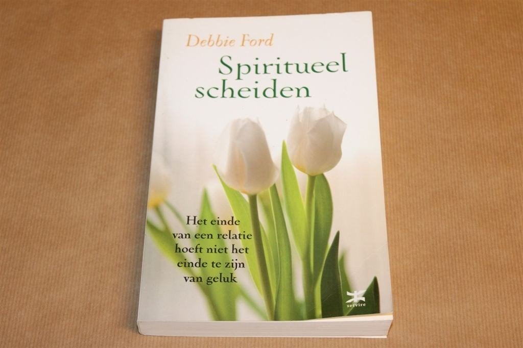 Spiritueel scheiden - Debbie Ford, Boeken, Ophalen of Verzenden, Zo goed als nieuw, Overige onderwerpen, Achtergrond en Informatie