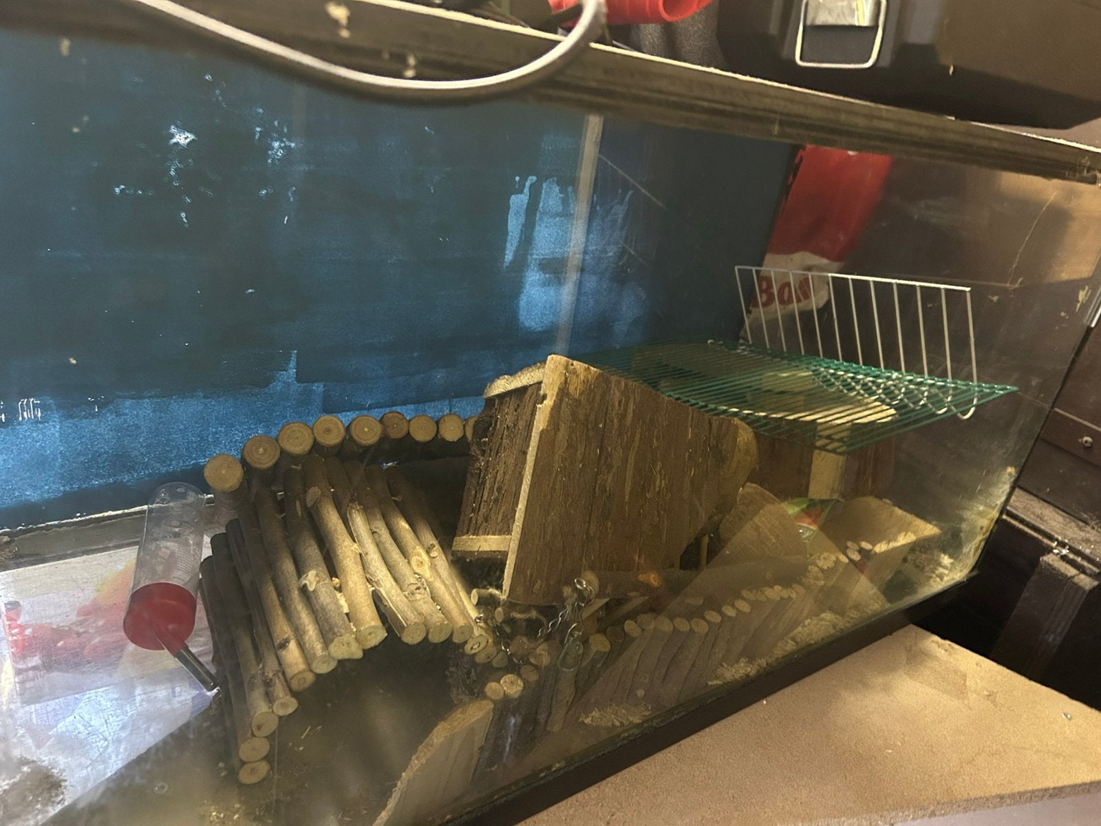 Hamster spullen, Ophalen