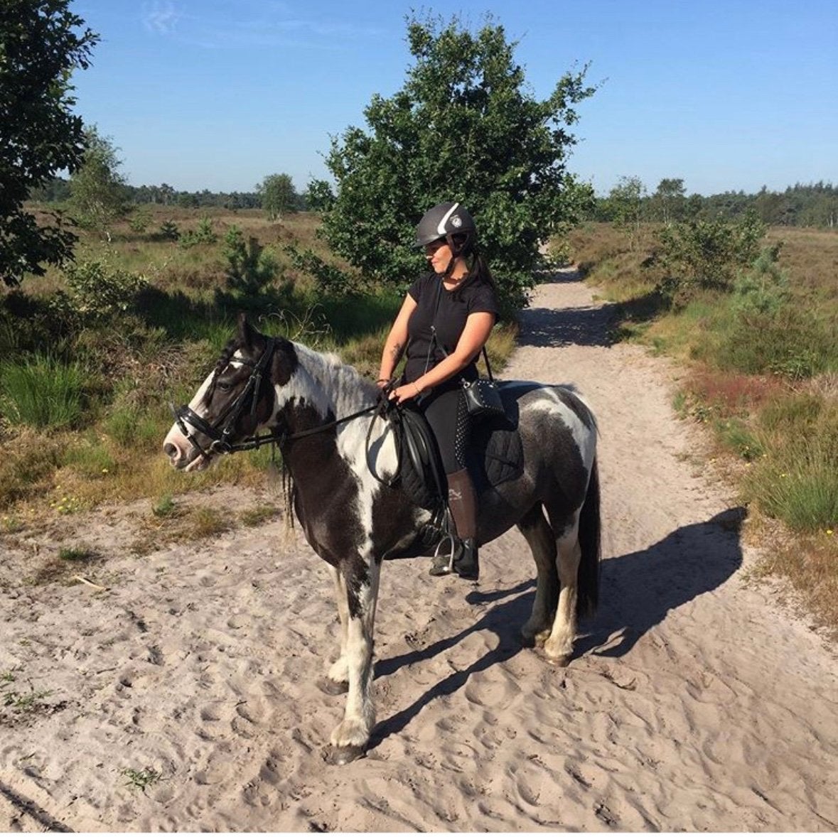 Super lieve tinkermerrie te koop, Merrie, Minder dan 160 cm, B, 11 jaar of ouder
