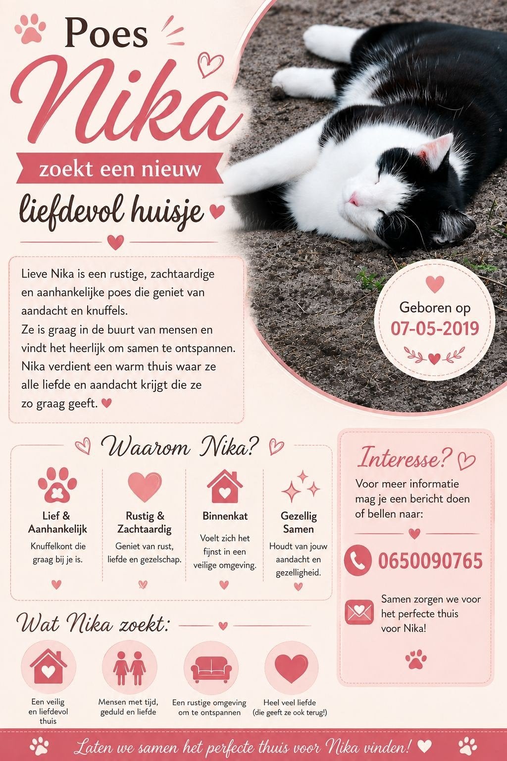 Poes zoekt gouden mandje, Dieren en Toebehoren, Dierenvoeding, Ophalen, Kat