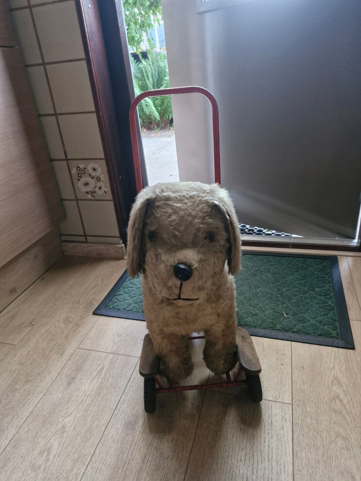Oude hond op wielen, Ophalen of Verzenden