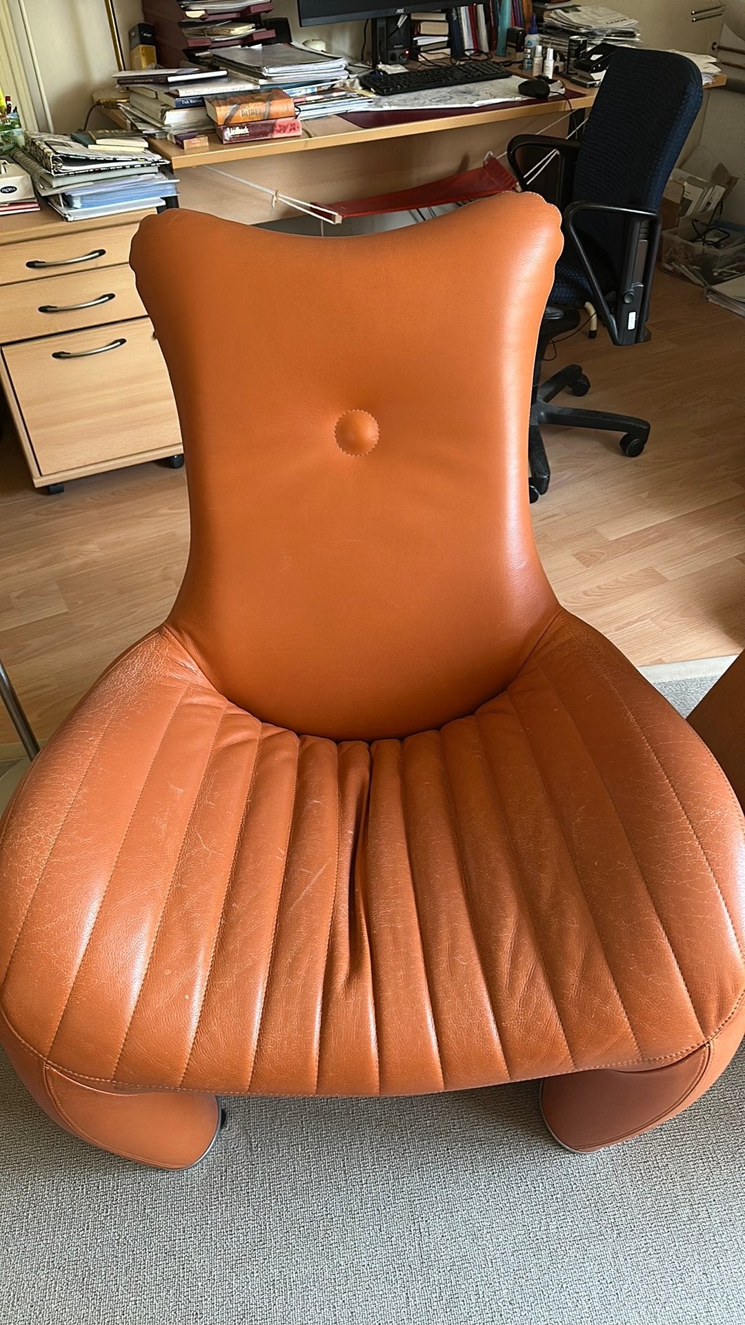 Leolux Balou stoel, Ophalen, Gebruikt, Overige kleuren, Eén