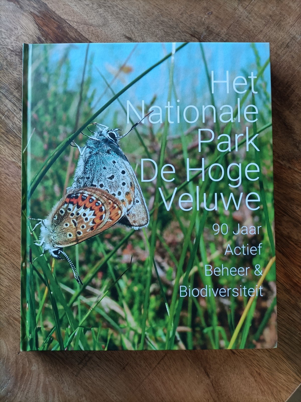 Menno Haanstra e.a. - Het Nationale park De Hoge Veluwe, Menno Haanstra e.a., Sociale wetenschap, Ophalen of Verzenden, Zo goed als nieuw