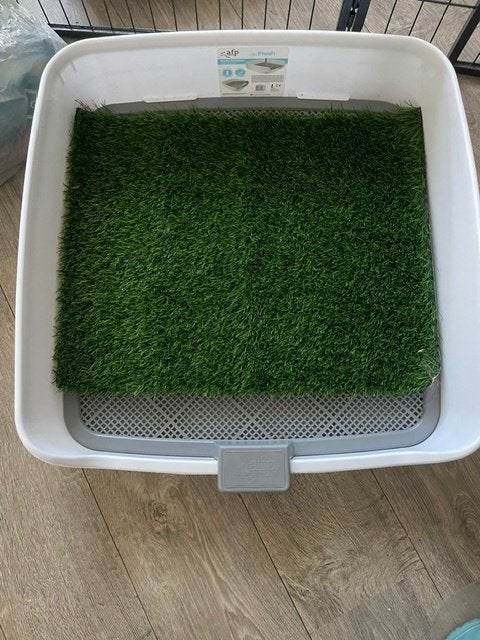 Honden toilet!!  NIEUW!!!!, Dieren en Toebehoren, Ophalen of Verzenden, Nieuw