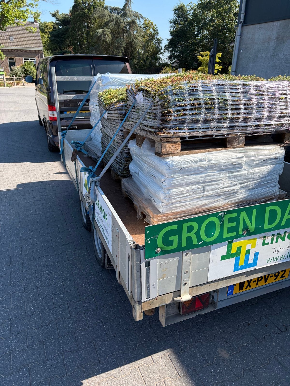 Sedum groendak matten pakket met drainage en substraat, Ophalen of Verzenden, Nieuw