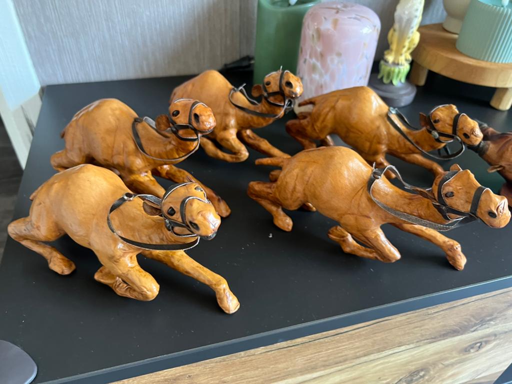 Lederen dieren, Ophalen of Verzenden, Zo goed als nieuw, Dier
