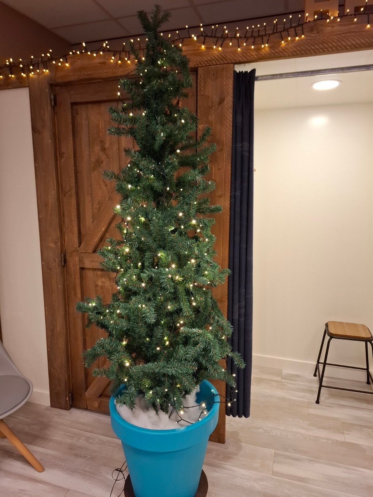 Kerstboom in pot op wieltjes, Ophalen
