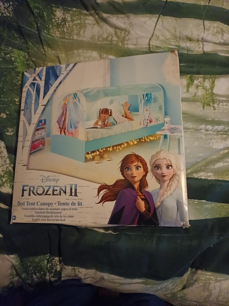 Grote partij Frozen spullen, schilderijen, dekens en meer!, Ophalen of Verzenden